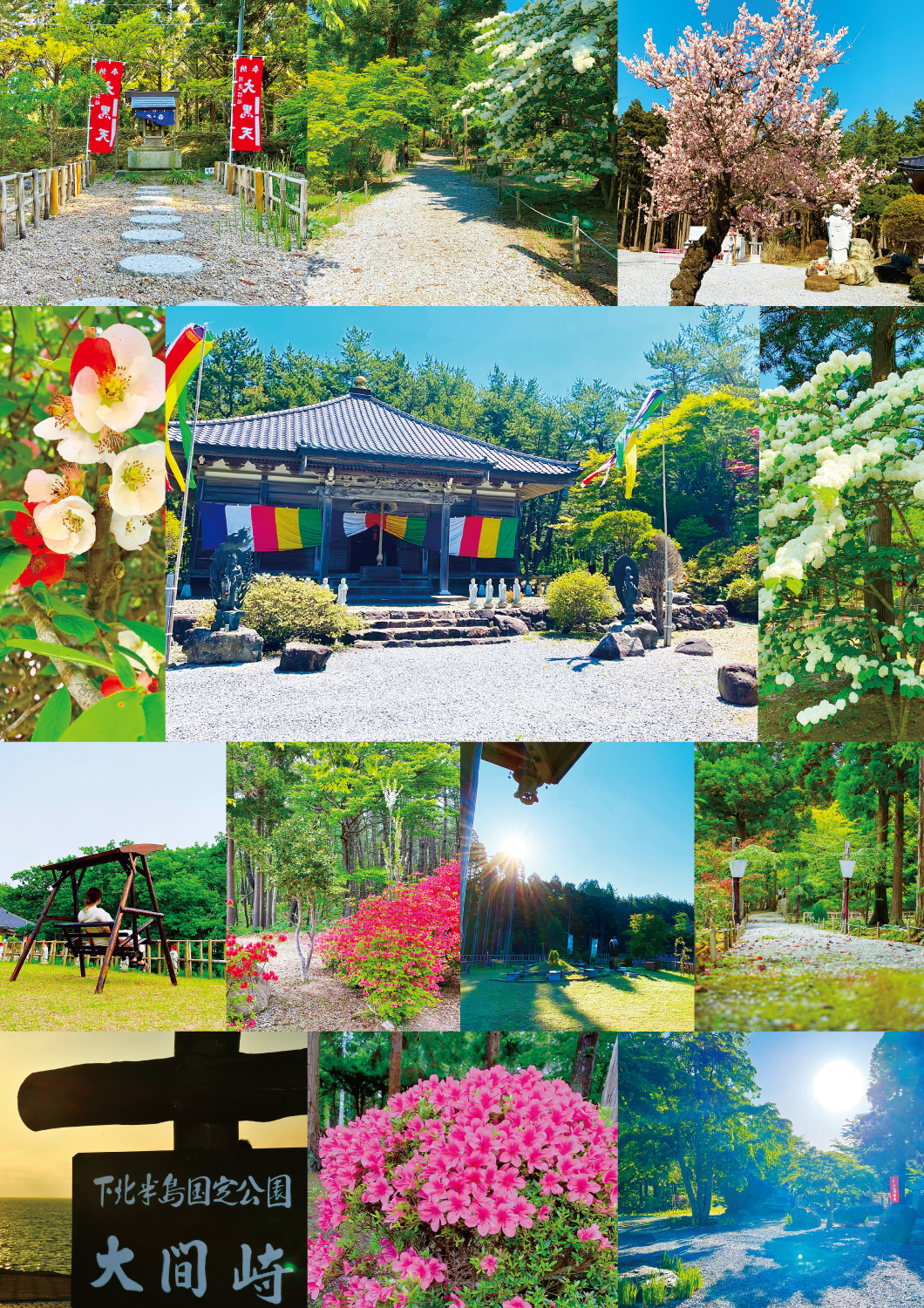 樹木葬や永代供養