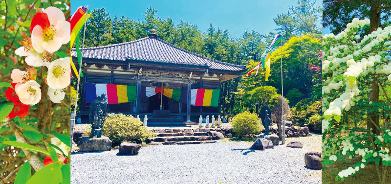 樹木葬や永代供養