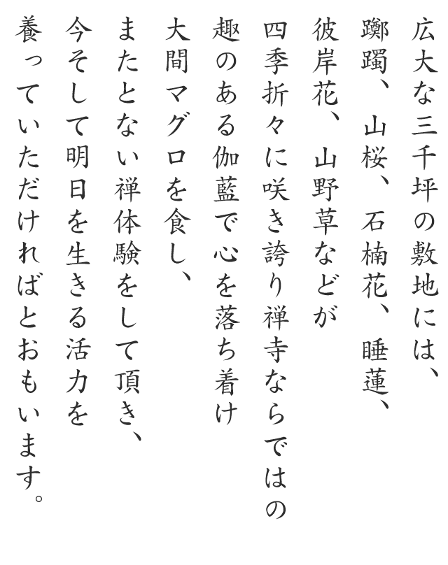 広大な三千坪の敷地には、躑躅、山桜、石楠花、睡蓮、彼岸花、山野草などが四季折々に咲き誇り禅寺ならではの趣のある伽藍で心を落ち着け大間マグロを食し、またとない禅体験をして頂き、今そして明日を生きる活力を養っていただければとおもいます