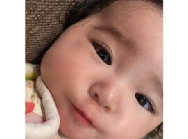 二重とゴリラ