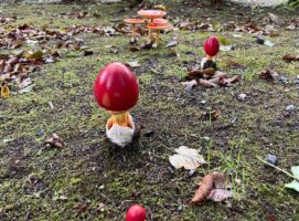 参道脇に突如現れた、ビビットカラーの🍄