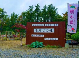 樹木葬　残り区画のご案内